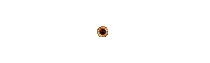 SPVTOTO